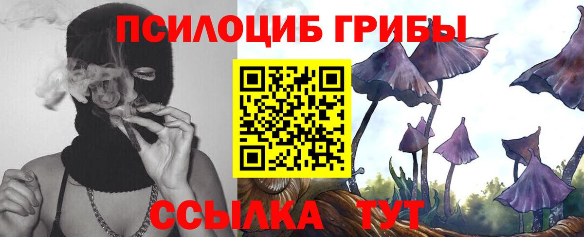 Губкинский  Галлюциногенные грибы мухоморы  Галлюциногенные грибы MAGIC MUSHROOMS  Вход с VPN 